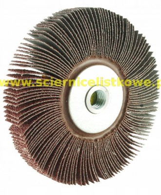 Ściernica listkowa z gwintem płótno Stal/Inox 125x20xM14 P100